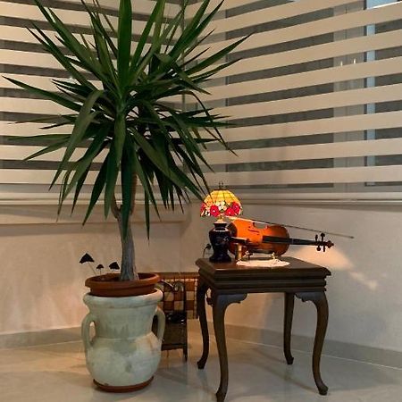 Guest House Nuhii 乌尔齐尼 外观 照片